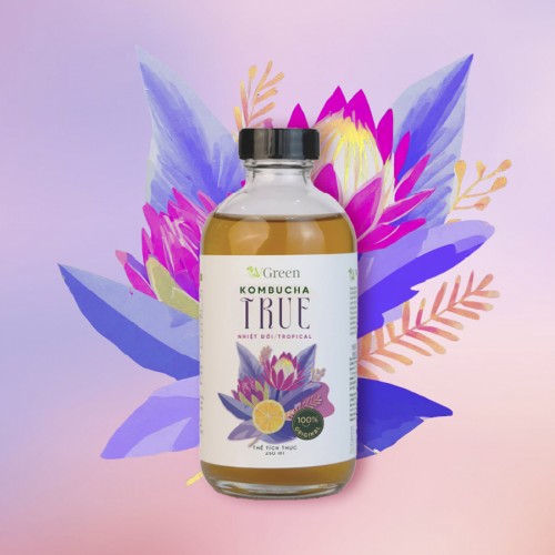 Vkombucha True Nhiệt Đới